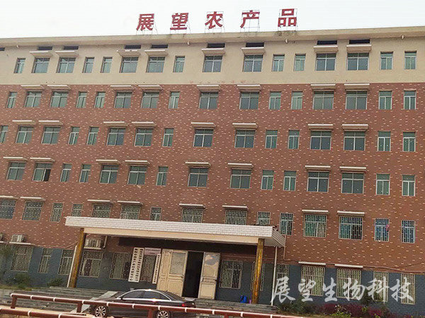 办公大楼 办公大楼