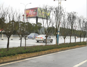农副产品加工,粮食收购,油料的种植,湖南省k1体育生物科技发展有限公司 农副产品加工,粮食收购,油料的种植,湖南省k1体育生物科技发展有限公司